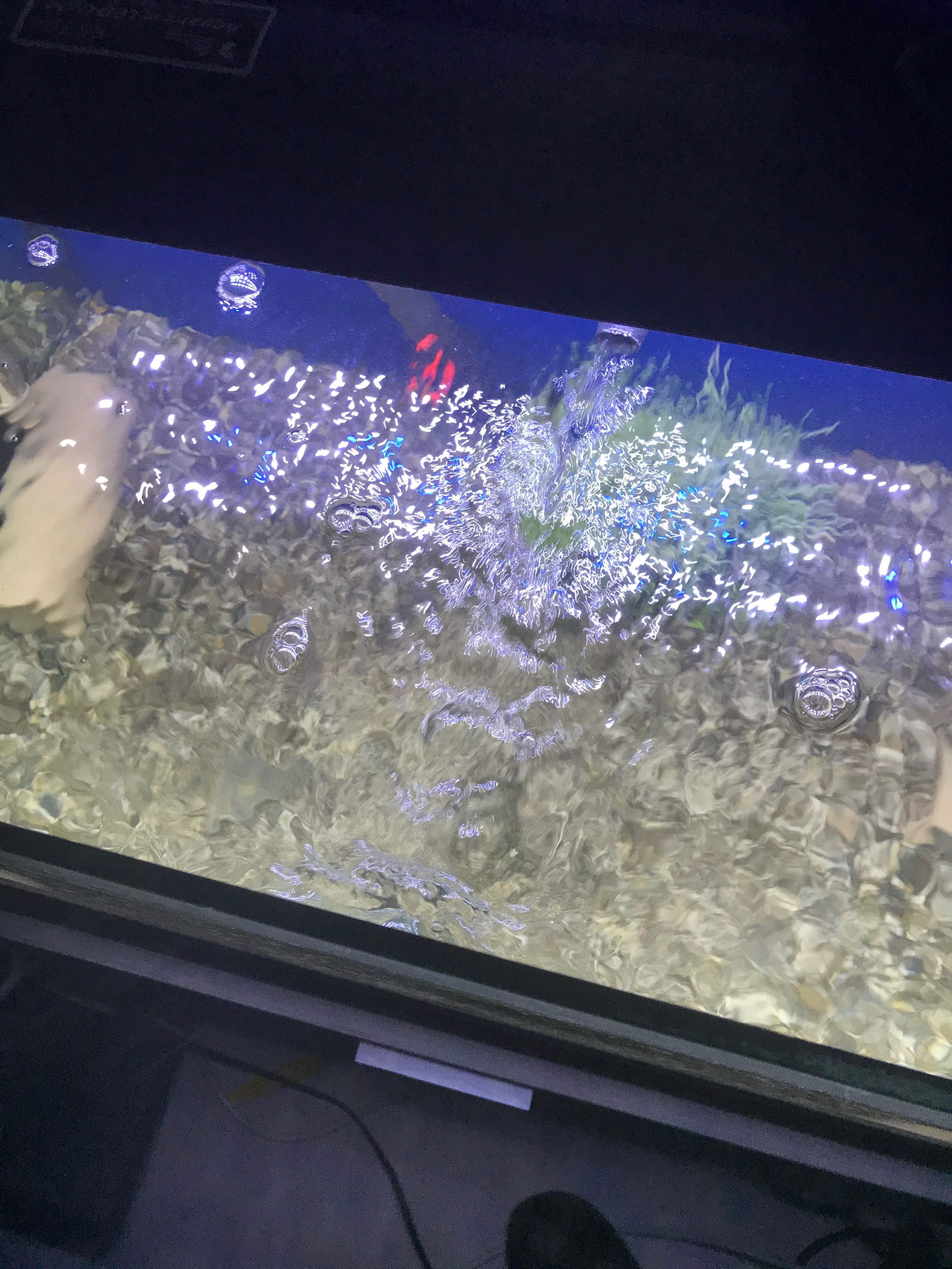 Fluval 406 филтър