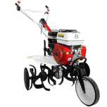 Motocultor MediaLine MS 6580/4