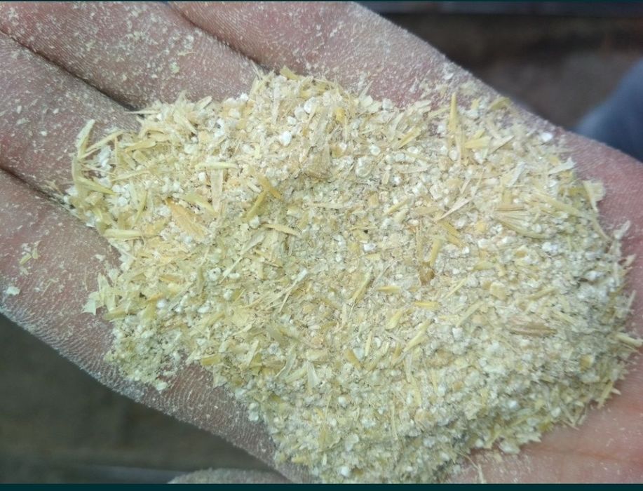 Ячмень дроблёный только ОПТОМ