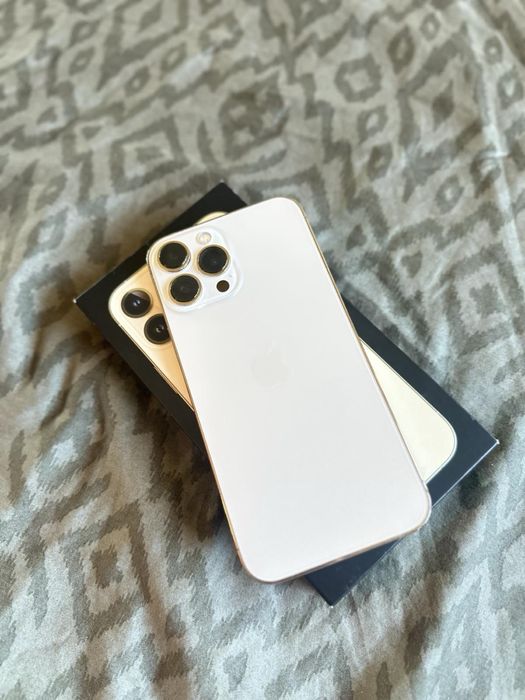 iPhone 13 Pro Max