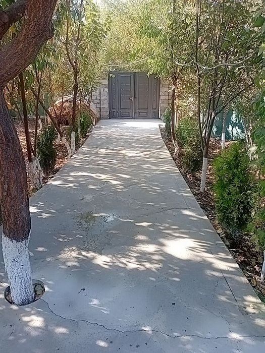 SURXONDARYOI Qumqo'rg'on tumani