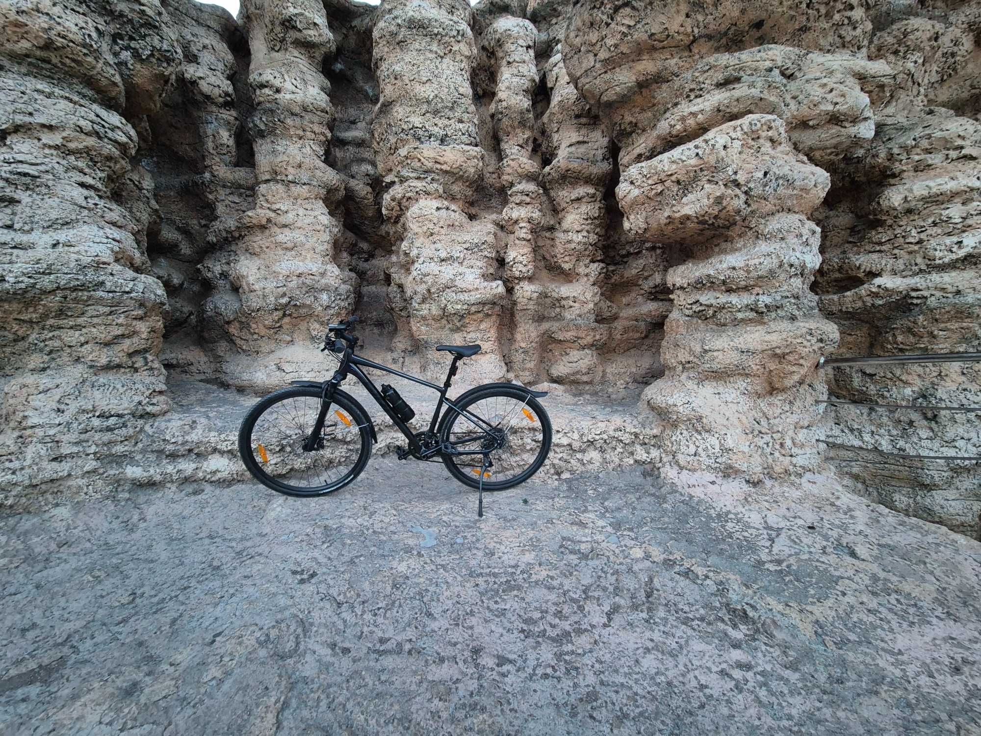Giant roam 1 2024