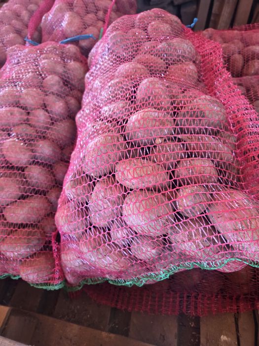 Vând cartofi consum