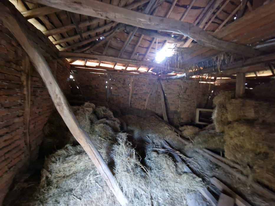 Бали сено стари поне на 15+ години