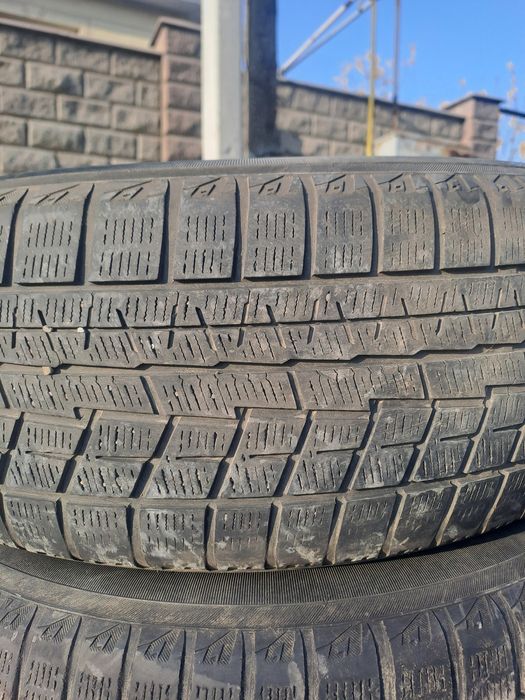 Зимний якохама сатылады жағдайы норма