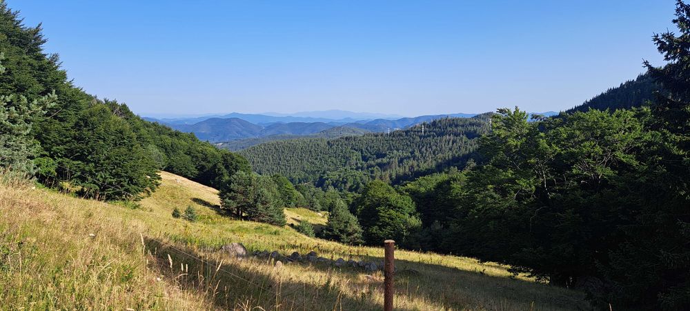 Продава се Земеделски имот в с. Давидково, Област Смолян -  кв.м за 4845 €/дка - Снимка #3