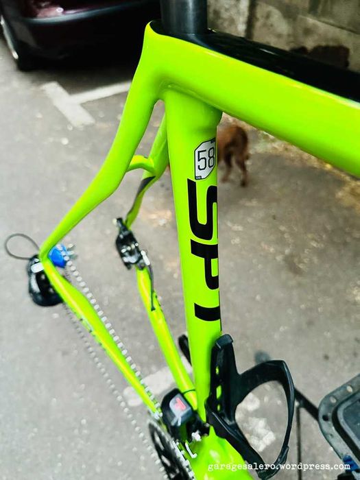 Cannondale Synapse Carbon Disc + Shimano Ultegra Di2 groupset