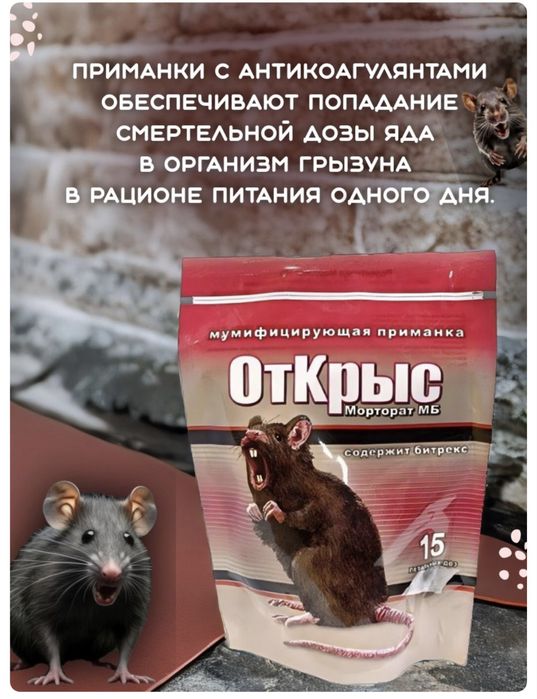 Отрава от крыс и мышей