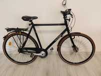 Bicicleta Trekking Ortler Motala 7 viteze în  butuc