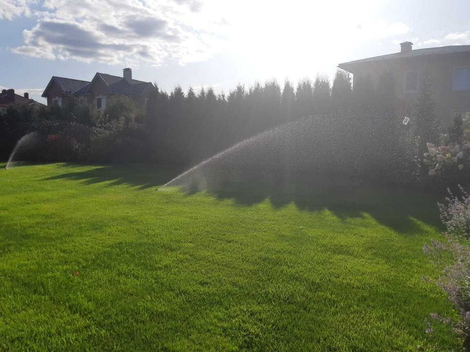 рулонный газон посевной gazon