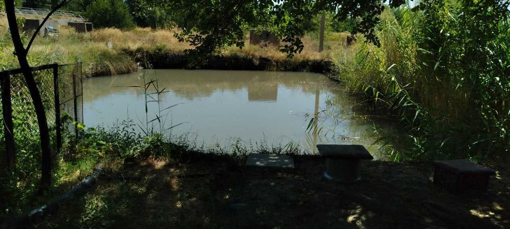 Земельный участок 60 сот в Таваксае