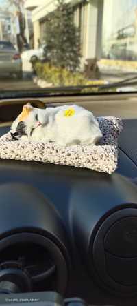 Щенки котята декор для авто  и на рабочий стол