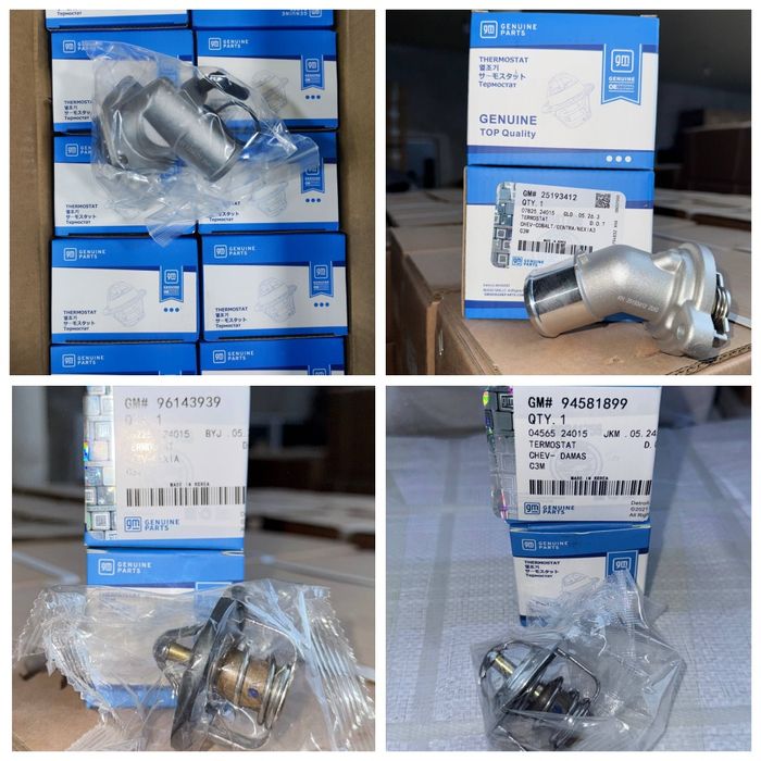 Termostat GM Garantiya