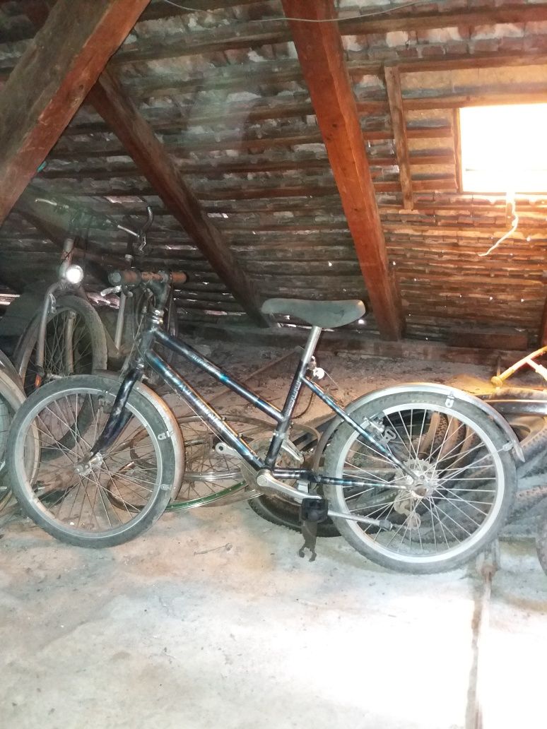 Alpina Bicicleta de copii elvetiana ci roti pe 20"