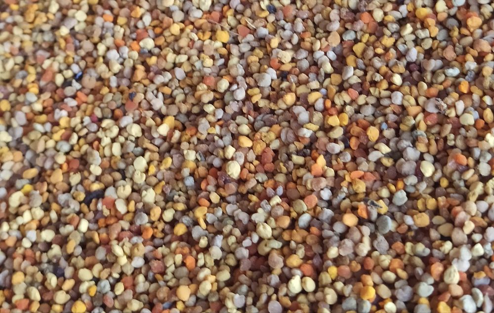 Vând polen uscat producție 2025