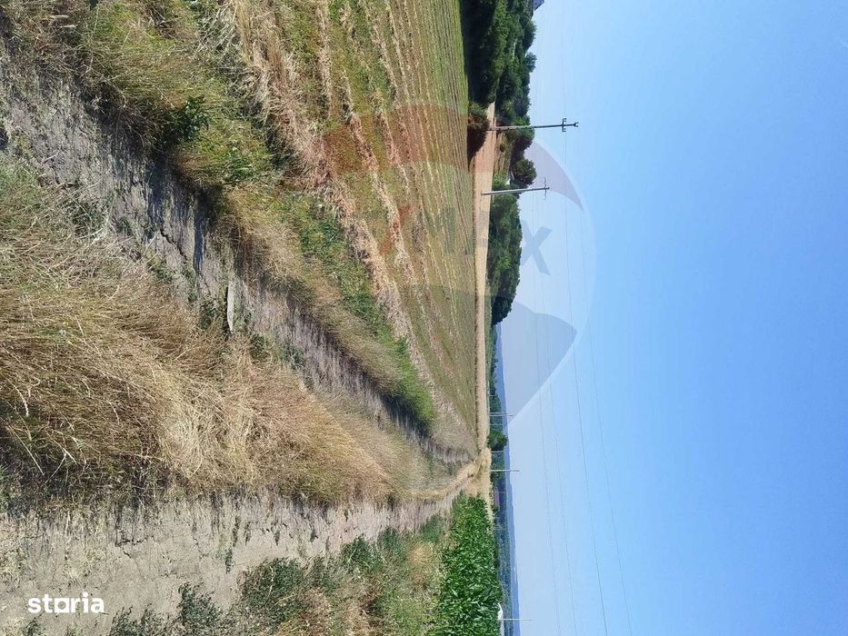 Teren 2,000mp Bradesti / None