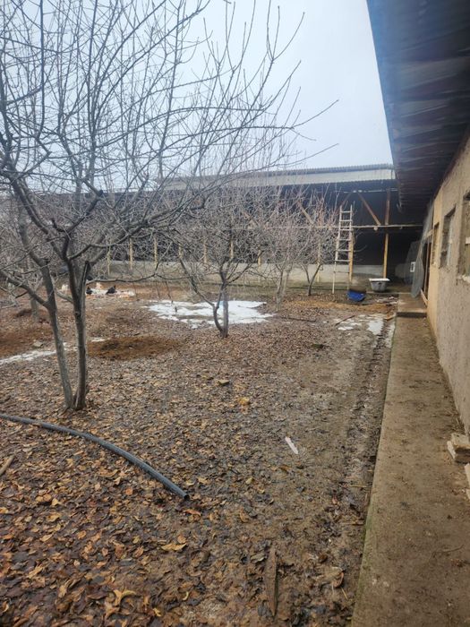 Продаеться свой дачный дом