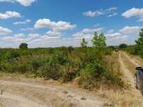 VANZARE TEREN Carcea 1700m2