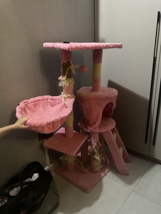 Когтеточка даром