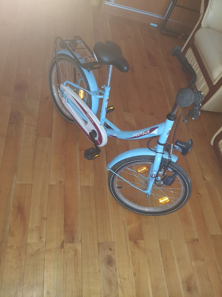 Bicicleta  Pegasus