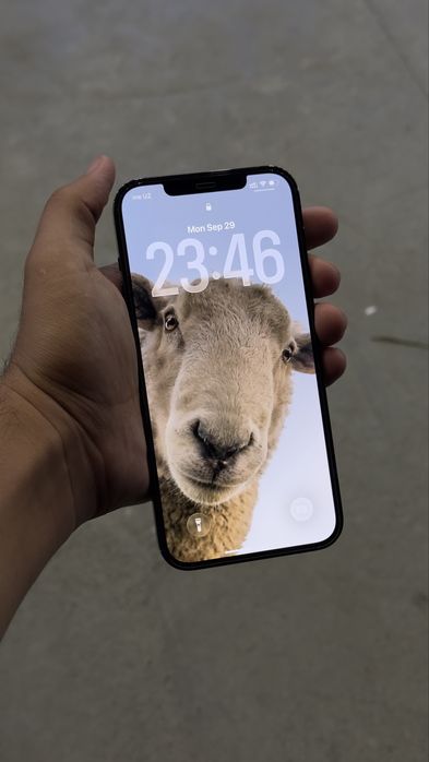 Iphone 12 Pro max 128GB DUAL SIM