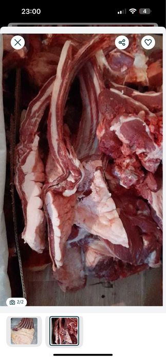 300мың Жарты байтал еті , бармақ қазы