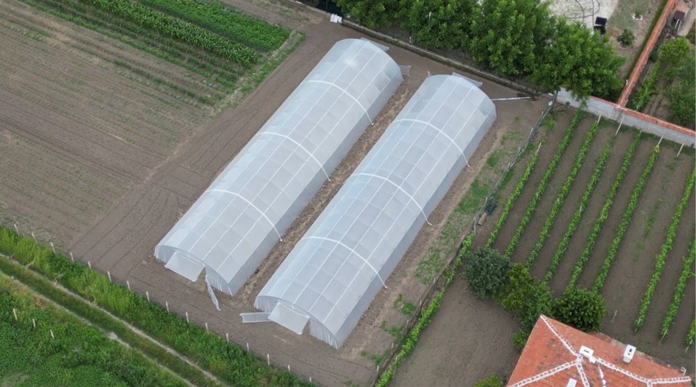 Два  броя оранжерии 9х30м