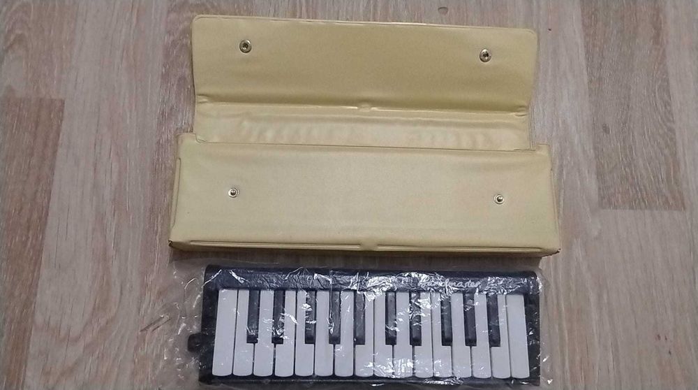 Melodica Bandmaster (Made in GDR)