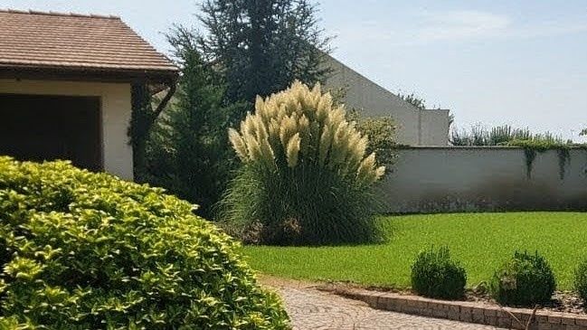 Vilă casa modernă cu teren generos pentru dezvoltare – Aradul Nou