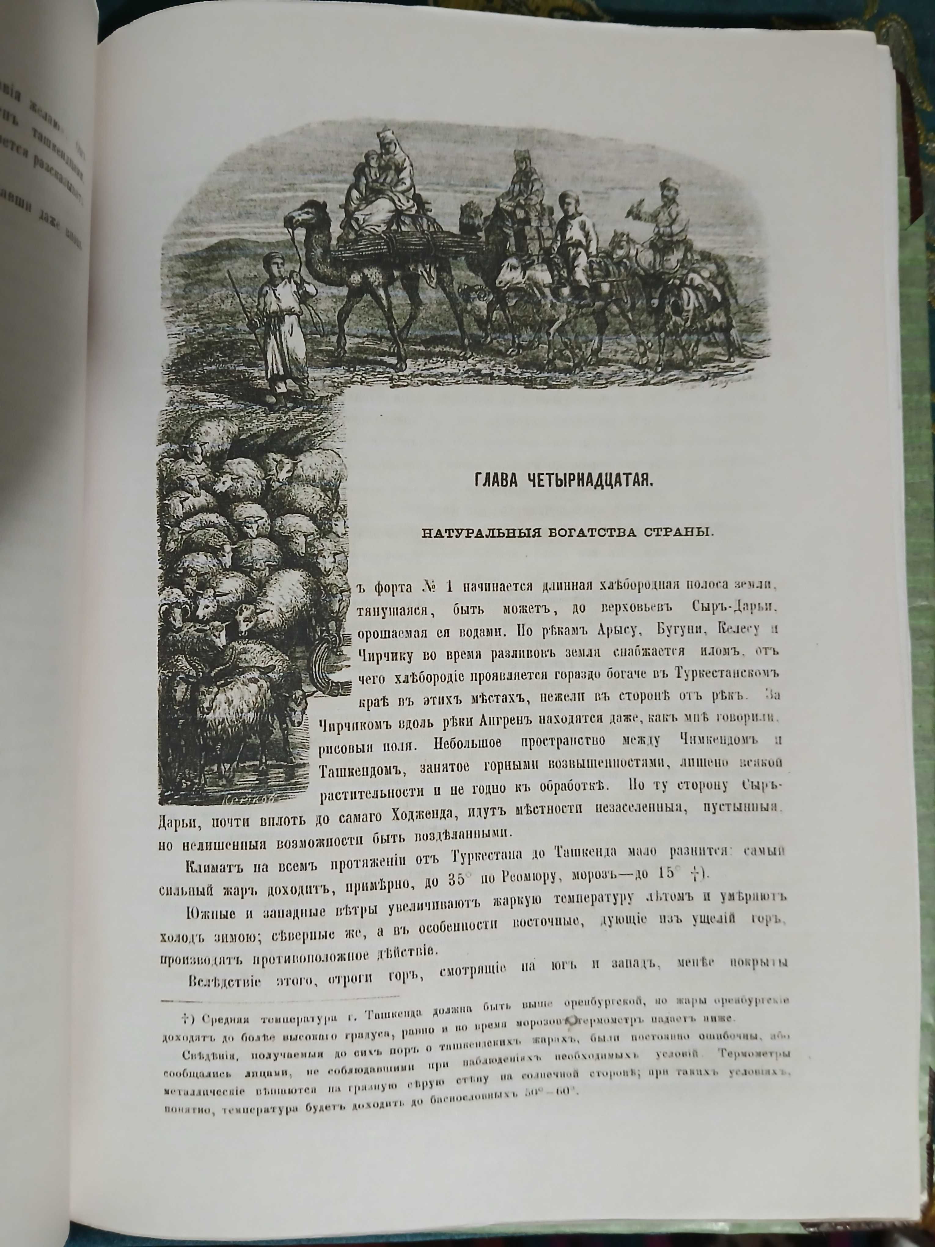 П.И.Пашино, Туркестанский край 1868 год.(копия)