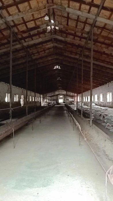 Ferma (toliq malumotni telda gaplashilinadi)