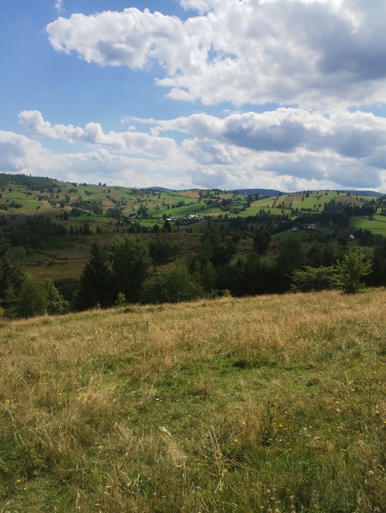 Teren de vânzare Maguri