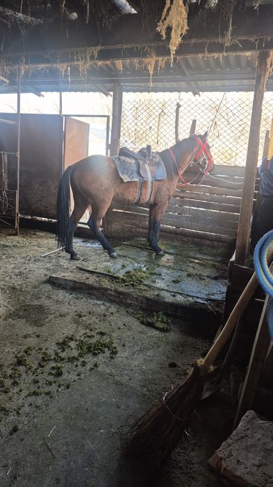 4 жасар донен карабулакта тур