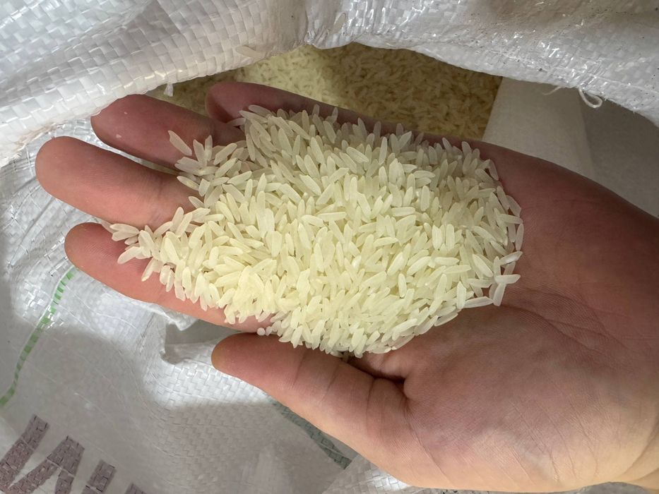 Lazer Guruch bor yangi hosil