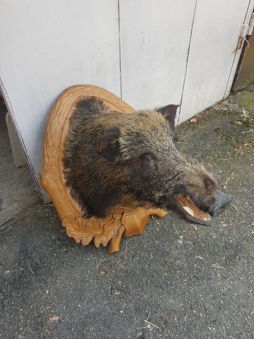 Vand mistret impaiat