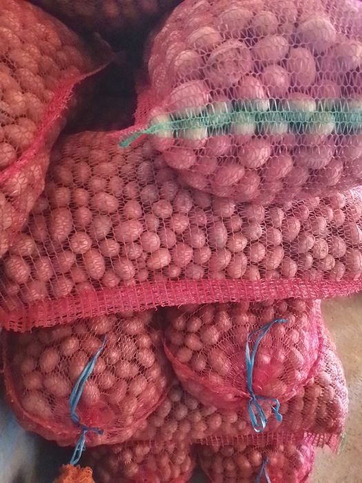 Vând cartofi pentru animale