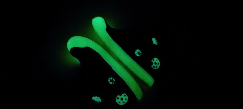 Детски обувки DD Step номер 25