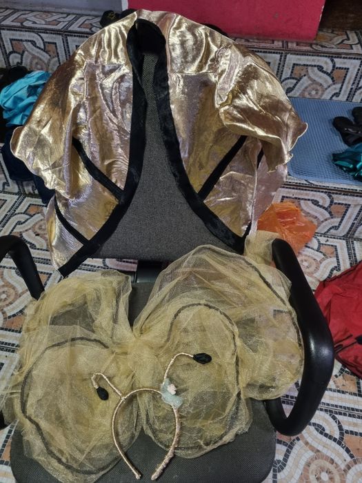 Новогодний костюм, Пчелка