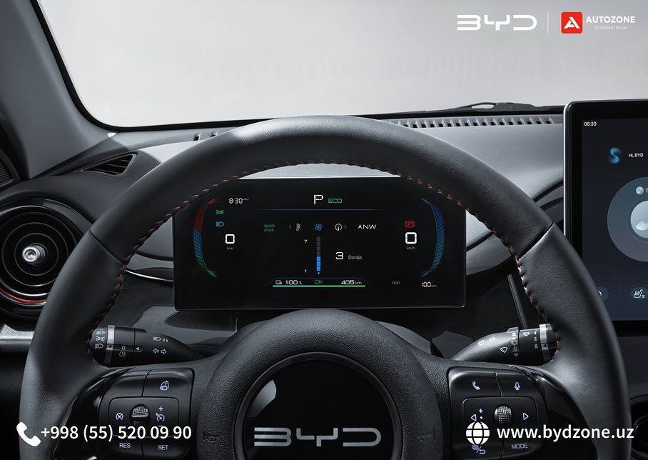 BYD E2 EV 405 km