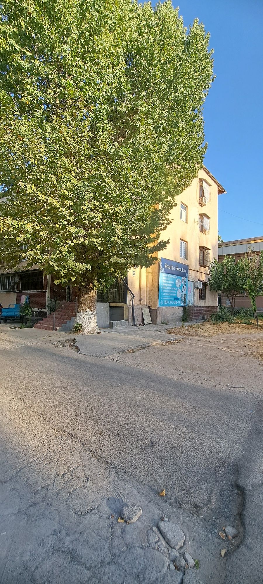 Qora qamish da sotiladi