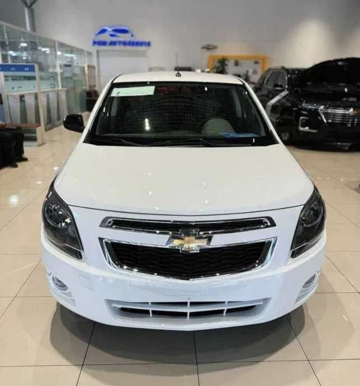 Cobalt midnight 2025 Yengi