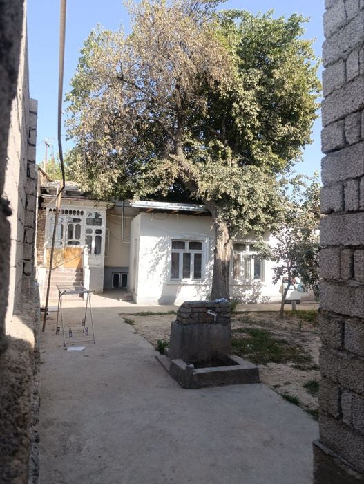 Hastimomda Hovli sotiladi