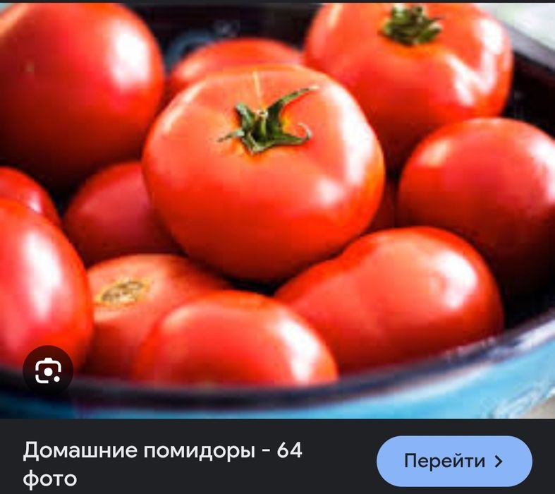 Помидоры домашние