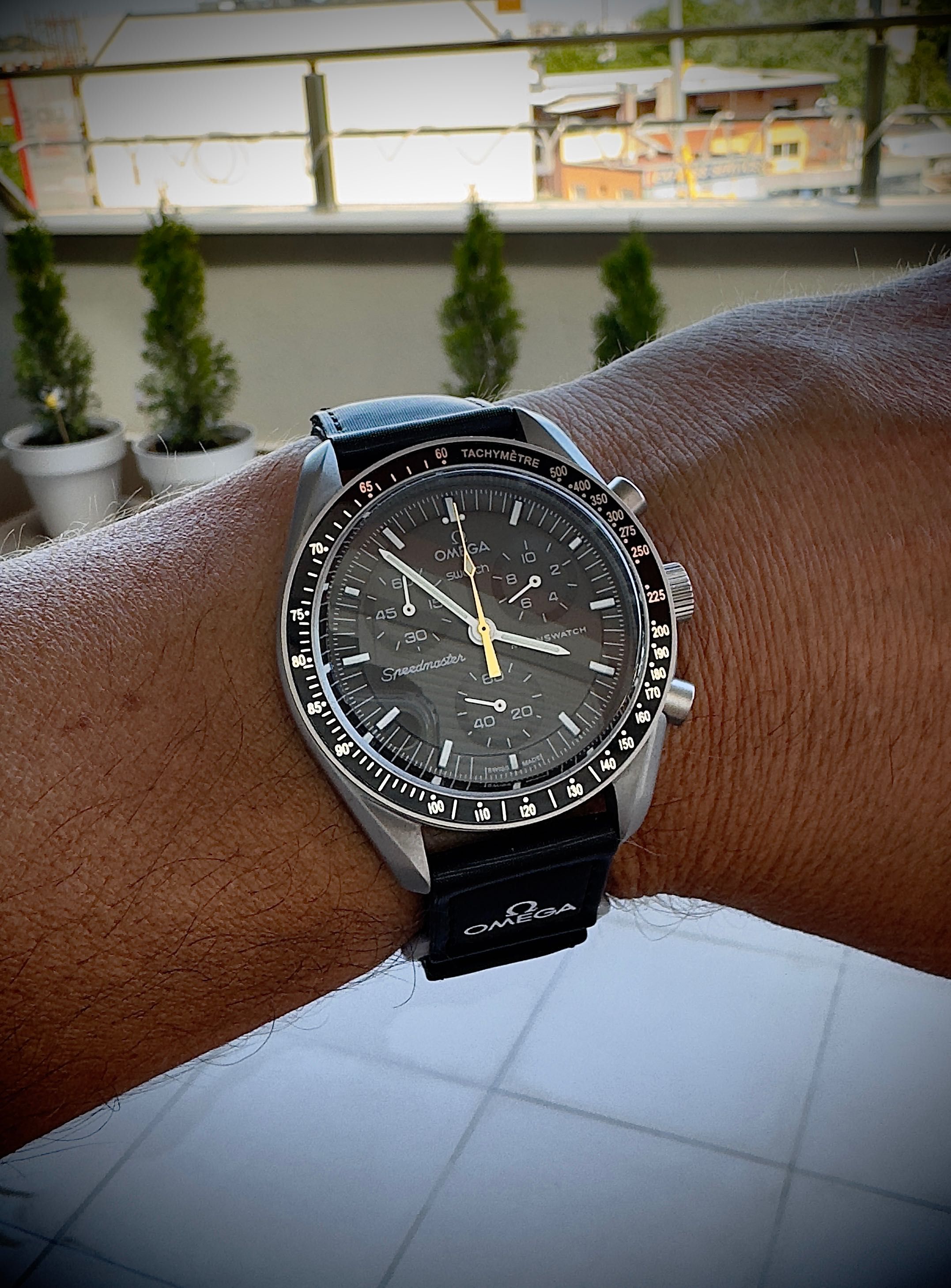 Omega Moomswatch