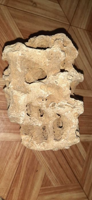 Уникальный историсеский камень