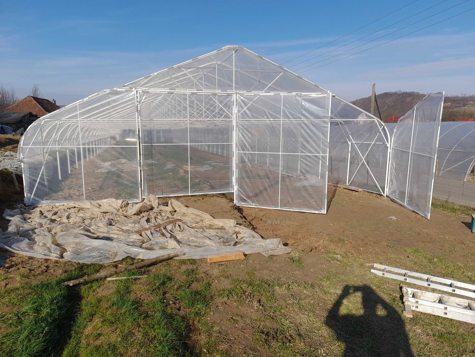 Solarii legume orice dimensiuni