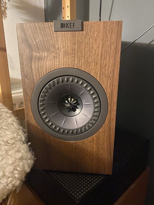 Boxe KEF Q150 Walnut