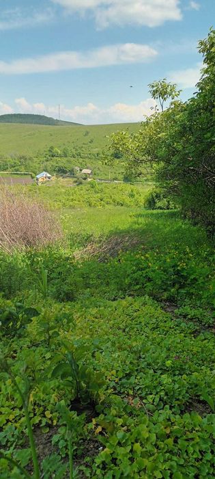 Teren intravilan Targu Neamt-  str. baile Oglinzi