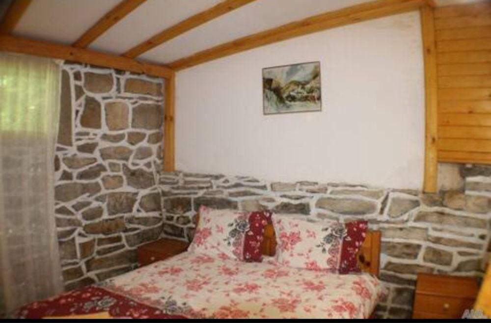 Къща за Гости Бор 2