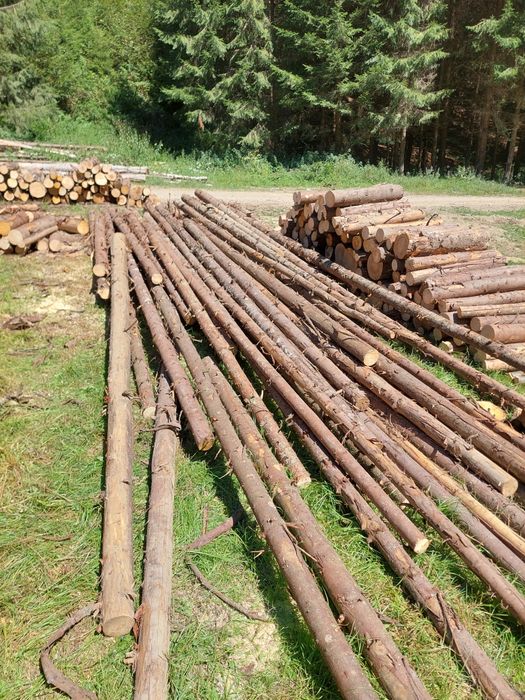 Vand bile manele MOLID